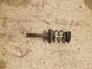 Stoßdämpfer vorne rechts RENAULT GRAND SCÉNIC III (JZ0/1_) 1.5 dCi 07081052 543020017R