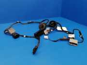 Türverkabelung hinten links LAND ROVER DISCOVERY II (L318) 3.0 D 4x4 A50228970 A50228971