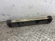 Ladeluftkühler MERCEDES-BENZ A (W169) A 160 CDI (169.006, 169.306) A1695000000