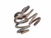 Feder links hinten VW Transporter T4 Bus ()