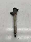 Einspritzdüse RENAULT GRAND SCÉNIC IV (R9_) 1.5 dCi 110 0445110895