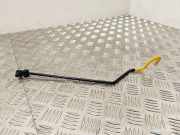 Ersatzradhalter Peugeot Expert III Kasten (V)