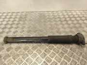 Stoßdämpfer hinten links MERCEDES-BENZ E (W212) E 250 CGI (212.047, 212.147) A2043260598