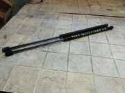 Heckklappe Gasdruckfeder links FORD FOCUS C-MAX 1.6 TDCi
