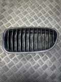 Vorderer oberer Gitter BMW 5 (E60) 530 d 7261355 7203649