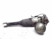 pneumatischer Stoßdämpfer hinten rechts VW PHAETON (3D_) 3.0 V6 TDI 4motion 3D0616002K