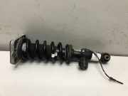 Stoßdämpfer hinten rechts BMW X5 (G05) xDrive M 50 d 6869026