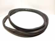 Türgummi links vorne Volvo XC60 II (246)