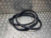 Türdichtung Kia Sportage 3 (SL)