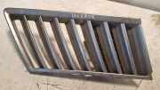 Vorderer oberer Gitter RENAULT VEL SATIS (BJ0_) 3.0 dCi (BJ0J, BJ0N) 8200096826