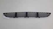 Kühlergrill unten Mercedes-Benz E-Klasse (W210) A2108850053