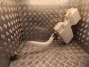 Fensterwaschtank OPEL VIVARO Furgon 1.6 CDTI 289105241r 289105372