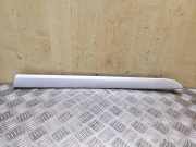 Türpolsterverkleidung hinten rechts SEAT EXEO ST (3R5) 2.0 TDI 3R0867420B