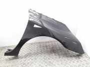 Kotflügel vorne rechts RENAULT ESPACE IV (JK0/1_) 2.0 dCi (JK03, JK04) NV676 8200155751