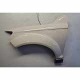 Kotflügel vorne links