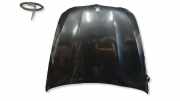 Motorhaube BMW X6 (E71, E72)