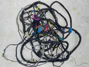 Kabelbaum IVECO DAILY IV Furgon/Estate 65C18 69501785