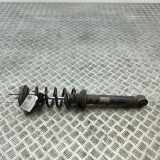 Stoßdämpfer hinten rechts