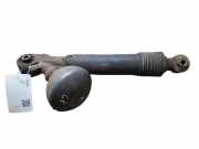 Stoßdämpfer links hinten Citroen C5 II Break (RE)