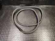 Türdichtung VW Tiguan I (5N) 5N0867913