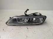 Nebelscheinwerfer links VW PASSAT Variant B7 (365) 2.0 TDI 17453900