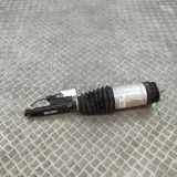 Rear right pneumo shock absorber TESLA MODEL X P100D AWD 1027067-00-C