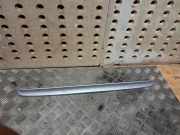 Kennzeichenbeleuchtung Verkleidung MERCEDES-BENZ E (W210) E 220 D (210.004) 2107580438