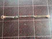 Fahrgestellteile hinten SUBARU LEGACY IV (BL) 2.0 AWD