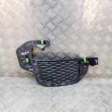 Gitter Grill vorne rechts LAND ROVER RANGE ROVER EVOQUE (L538) 2.0 D 4x4 GJ32-15A298-A