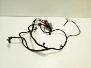 Kabelbaum FIAT DUCATO Furgon (244_) 2.3 JTD 1367893080