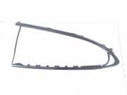 Türverkleidung rechts hinten Porsche Panamera 1 (970) 97053615610