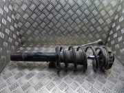 Stoßdämpfer vorne rechts VW TIGUAN (5N_) 2.0 TDI 4motion