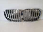 Vorderer oberer Gitter BMW X5 (G05) xDrive 40 i 5A54559