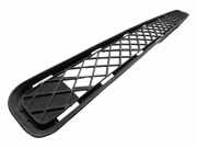 Gitter vorne unten TOYOTA RAV 4 III (_A3_) 2.2 D 4WD (ALA30_) 5311342030