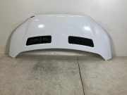 Motorhaube FORD TRANSIT 2.0 TDCi TKK31-A16612-AA