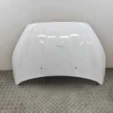 Motorhaube FORD FOCUS III 1.0 EcoBoost PBM51-A16610-AC