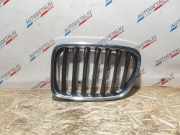 Vorderer oberer Gitter BMW X1 (E84) sDrive 18 d 2993307 2993305