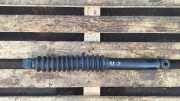 Stoßdämpfer hinten links OPEL ANTARA 2.0 CDTI 4x4 004921014303 316887