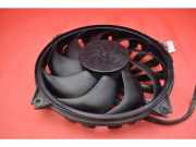 Elektrolüfter Peugeot Expert III Kasten (V)