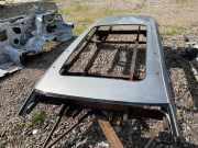 Dach mit Sonnendachausschnitt VW Passat B8 Variant (3G)