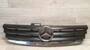 Vorderer oberer Gitter MERCEDES-BENZ A (W169) A 160 CDI (169.006, 169.306) 1698800083