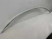 Dachleiste links MERCEDES-BENZ CLS (C219) CLS 320 CDI (219.322)