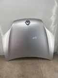 Motorhaube RENAULT LAGUNA III (BT0/1) 2.0 dCi (BT01, BT09, BT12, BT1S)