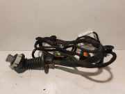 Türverkabelung hinten rechts PEUGEOT 3008 II SUV 1.5 BlueHDi 130 9829074380