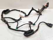 Türverkabelung hinten links VW TOURAN (1T1, 1T2) 2.0 FSI 1T0959843B