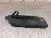 Gitter vorne unten JAGUAR XF (X250) 2.2 D CX2313K233A