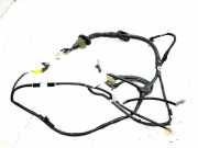 Kabel Tür Toyota GT 86 Coupe (ZN)