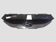Vorderer oberer Gitter HYUNDAI ix35 (LM, EL, ELH) 2.0 CRDi 4WD 863512Y000