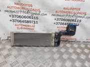 Kraftstoffkühler VW Golf IV (1J) 1J0201894A