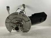 Federung hinten links BMW X5 (G05) xDrive 40 i 6876651
